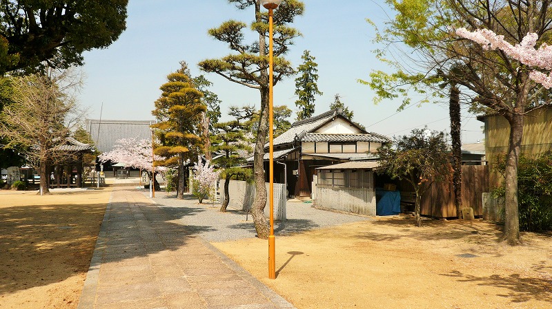f:id:boianuf:20150525103104j:image