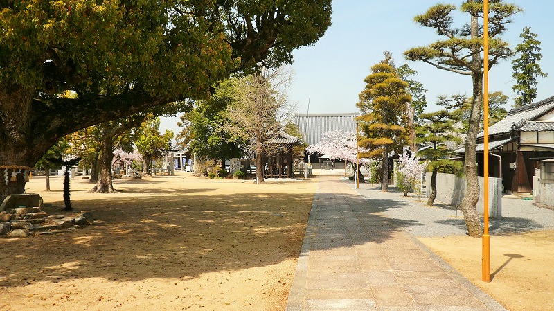 f:id:boianuf:20150525103105j:image