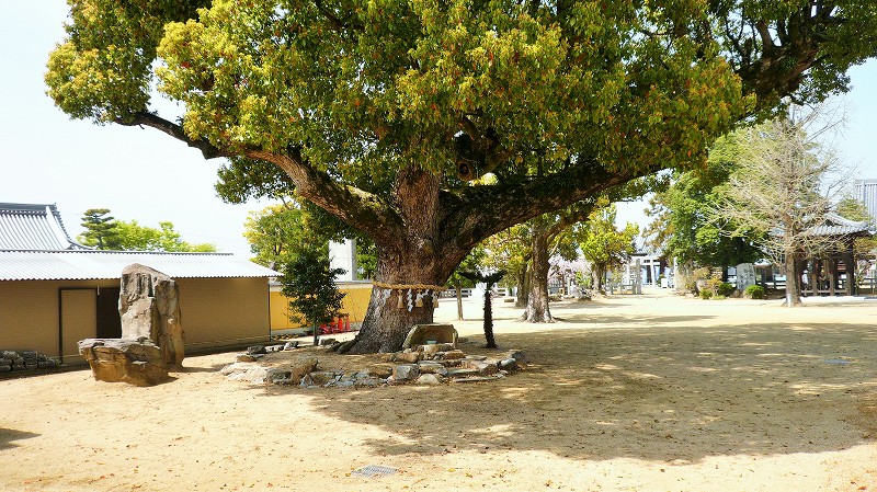 f:id:boianuf:20150525103106j:image
