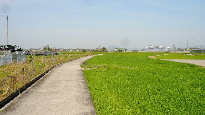 f:id:boianuf:20150525104706j:image