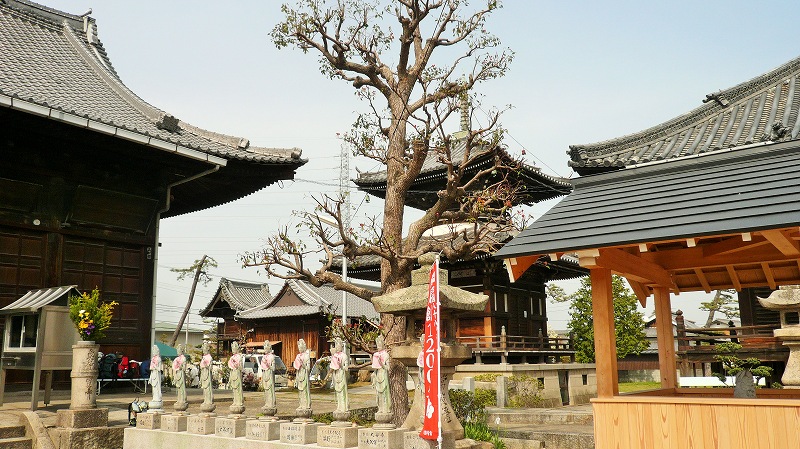 f:id:boianuf:20150525104954j:image