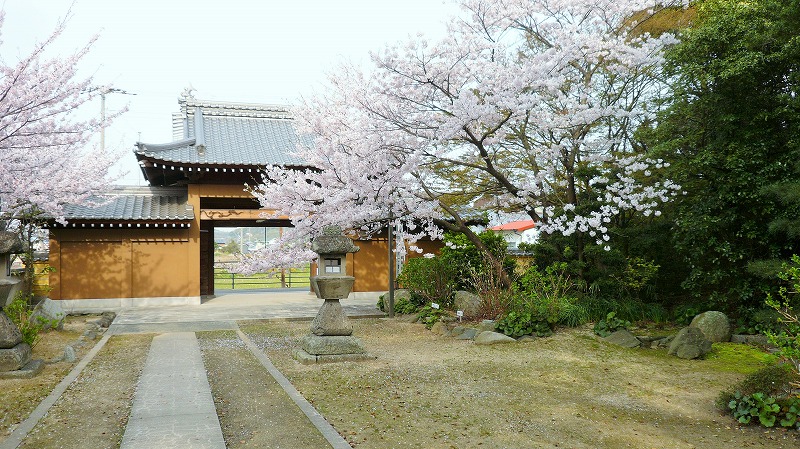 f:id:boianuf:20150525105544j:image