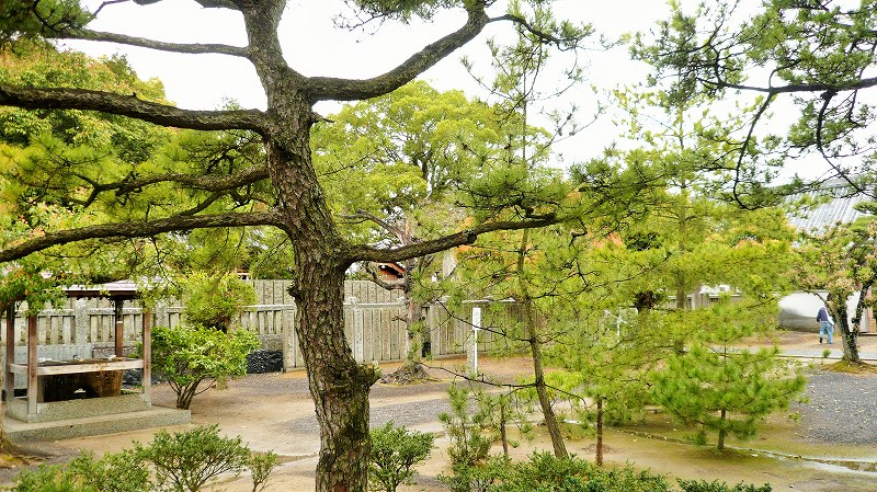 f:id:boianuf:20150525215642j:image