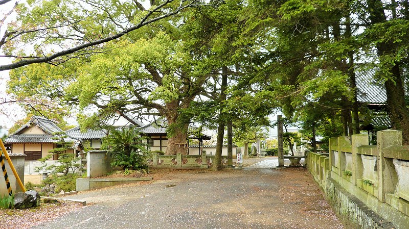 f:id:boianuf:20150525215647j:image