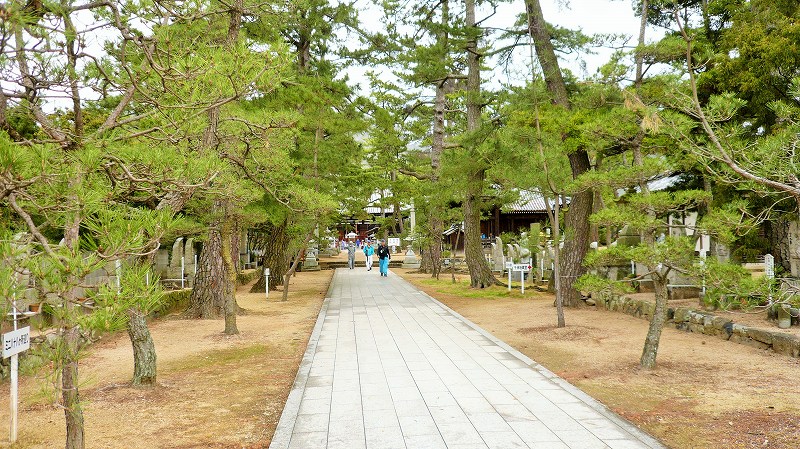 f:id:boianuf:20150525220242j:image