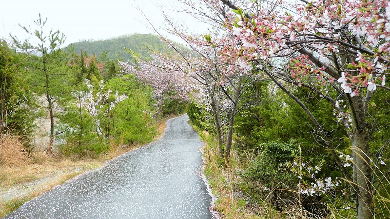 f:id:boianuf:20150525220355j:image