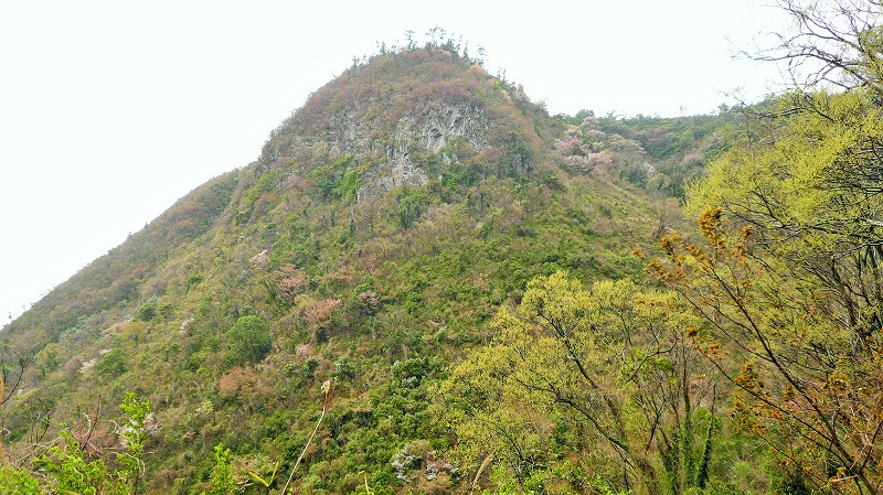 f:id:boianuf:20150525220548j:image