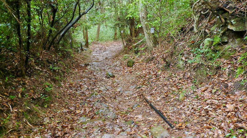 f:id:boianuf:20150525220707j:image