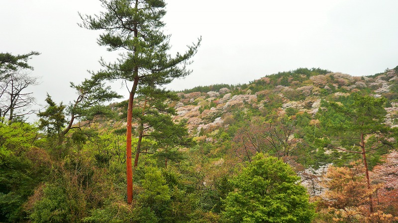 f:id:boianuf:20150525220712j:image