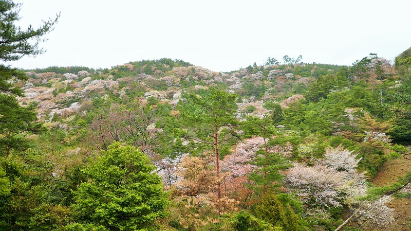 f:id:boianuf:20150525220714j:image