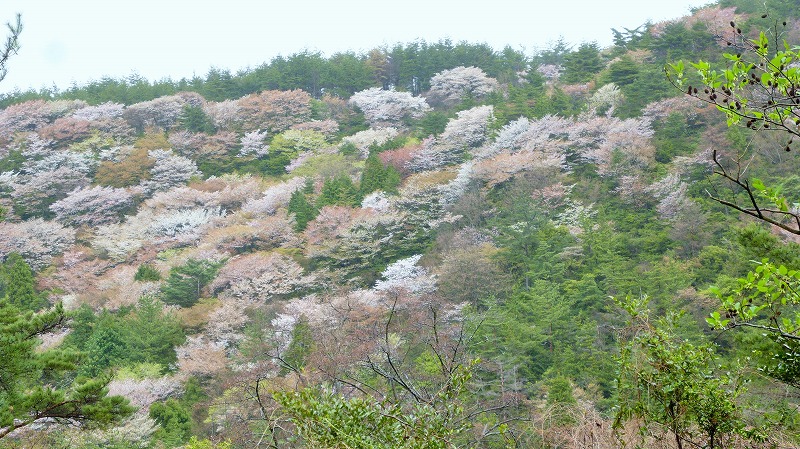 f:id:boianuf:20150525220715j:image