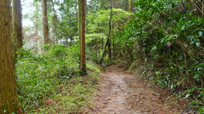 f:id:boianuf:20150525220912j:image