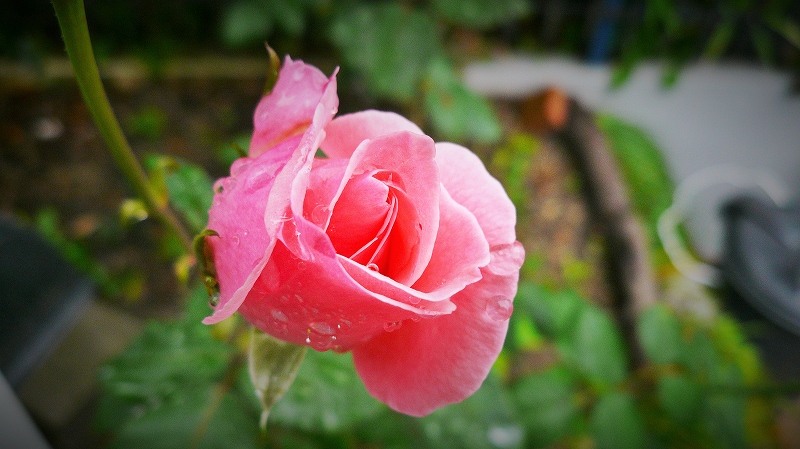 f:id:boianuf:20150705130030j:image