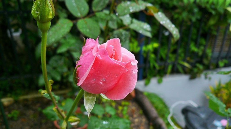 f:id:boianuf:20150705130031j:image