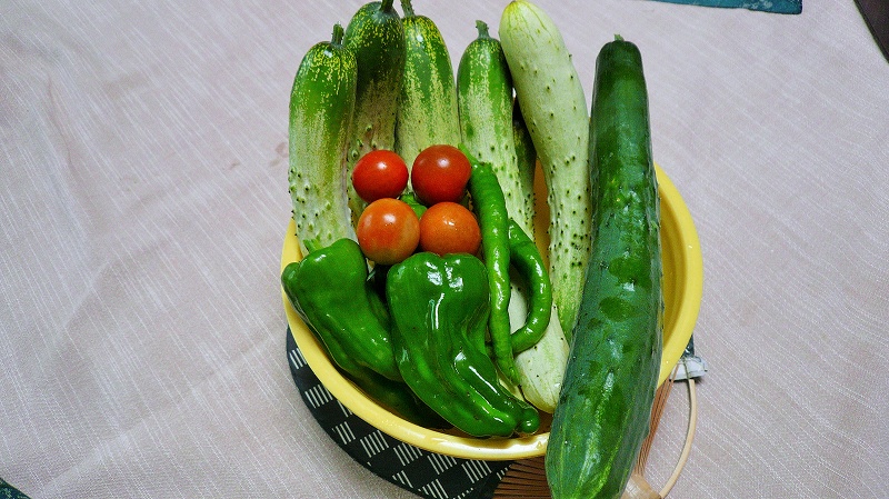 f:id:boianuf:20150705130112j:image
