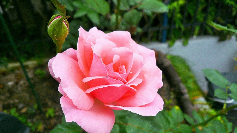 f:id:boianuf:20150707094151j:image