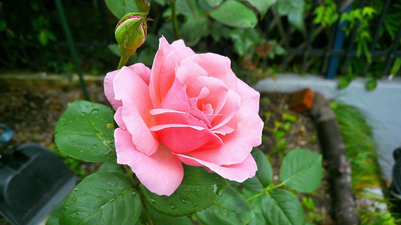 f:id:boianuf:20150707094152j:image