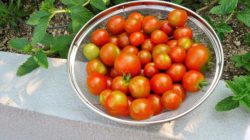 f:id:boianuf:20150731164731j:image