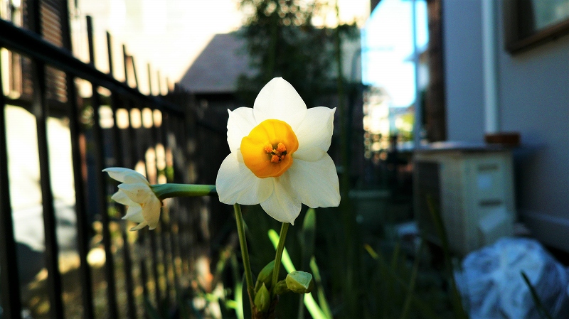 f:id:boianuf:20151127104507j:image