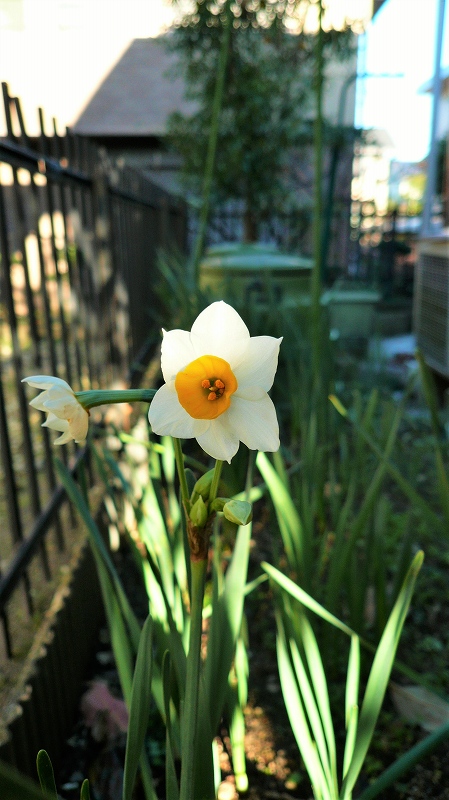 f:id:boianuf:20151127104508j:image