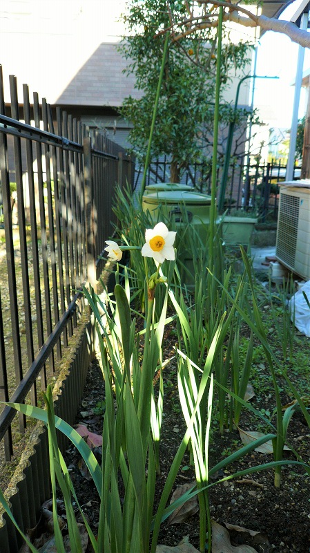 f:id:boianuf:20151127104510j:image