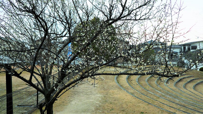 f:id:boianuf:20160213151255j:image