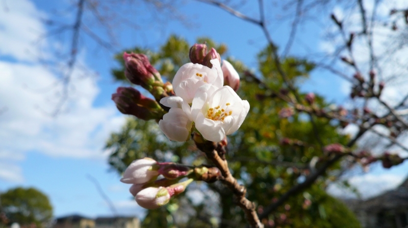 f:id:boianuf:20160325181457j:image