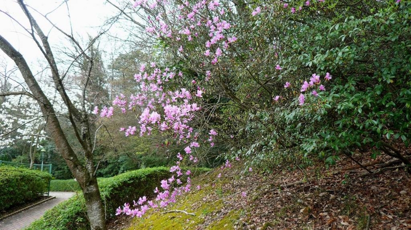 f:id:boianuf:20160410105705j:image
