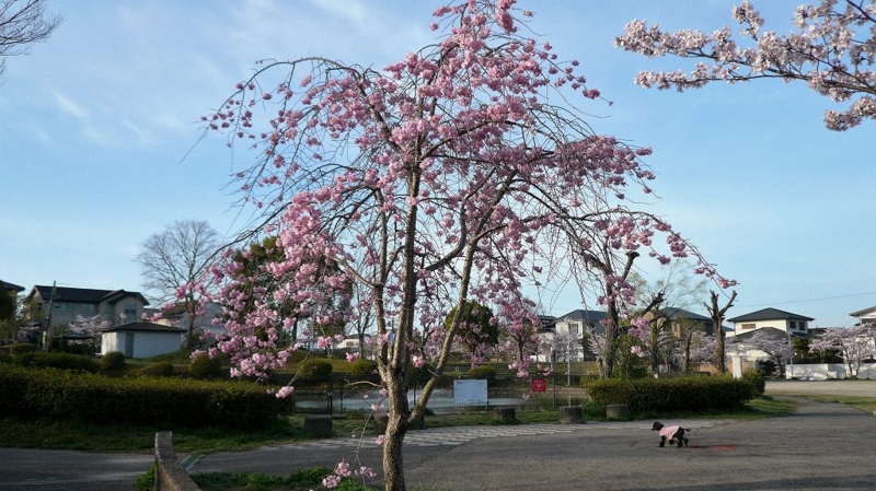f:id:boianuf:20160410114338j:image
