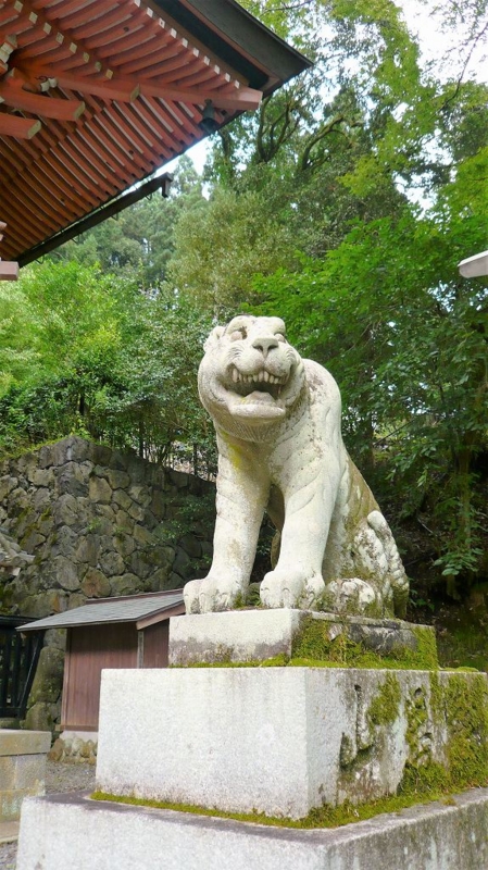 f:id:boianuf:20160820135516j:image:w400