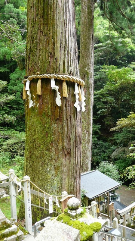 f:id:boianuf:20160820150411j:image:w400 f:id:boianuf:20160820150411j:image:w400