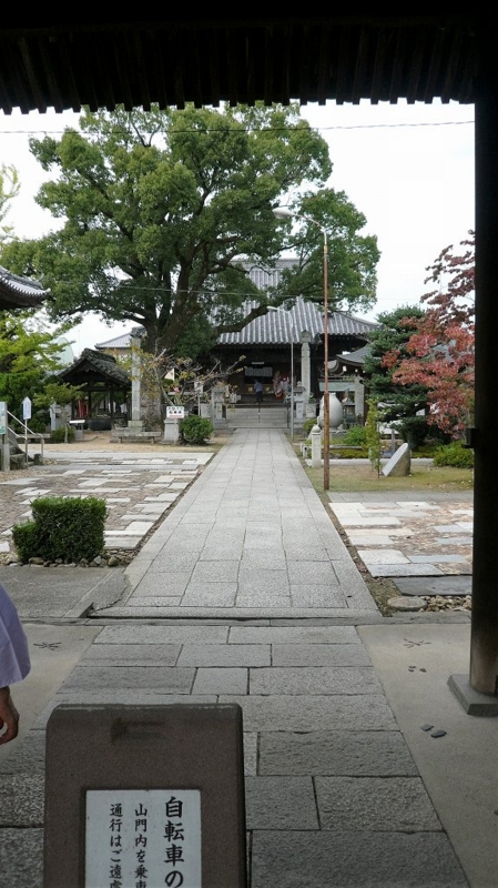 f:id:boianuf:20161119134902j:image f:id:boianuf:20161119134902j:image