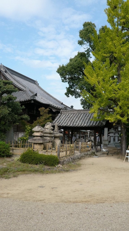 f:id:boianuf:20161119135202j:image:w400 f:id:boianuf:20161119135202j:image:w400