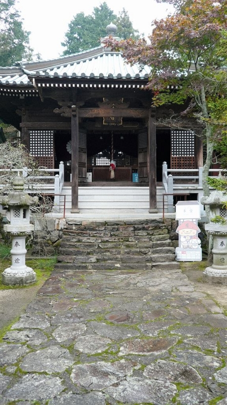 f:id:boianuf:20161121153251j:image f:id:boianuf:20161121153251j:image