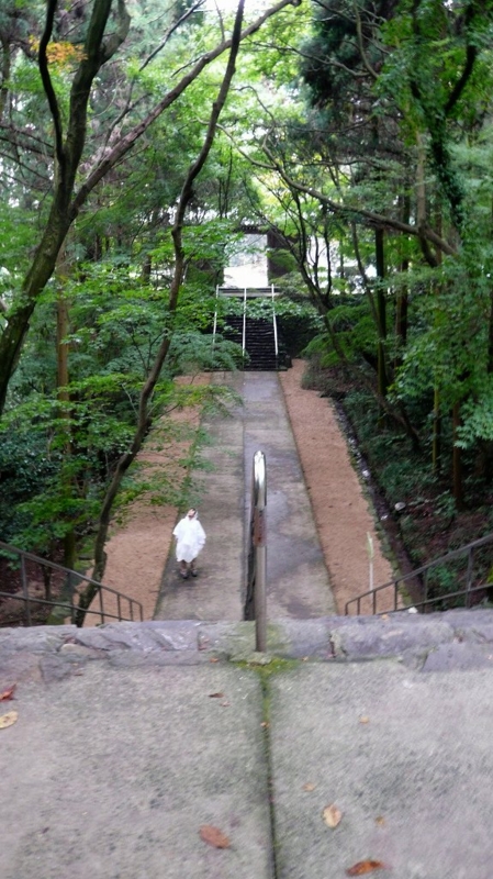 f:id:boianuf:20161121153747j:image f:id:boianuf:20161121153747j:image