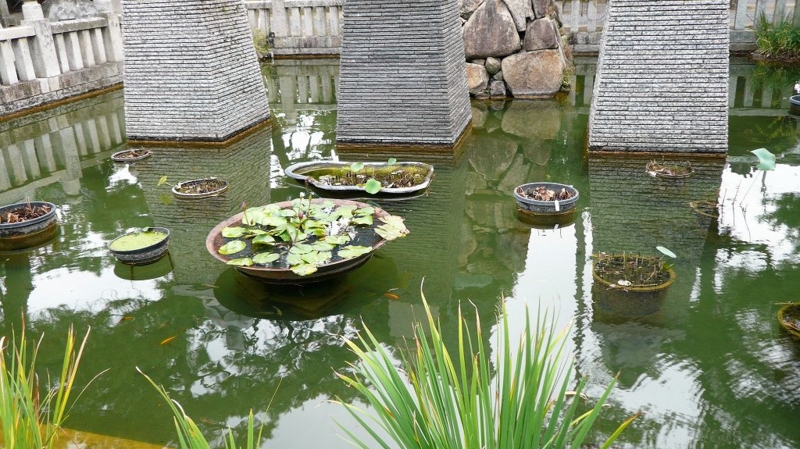 f:id:boianuf:20161127112057j:image