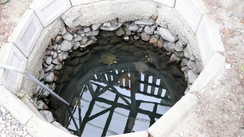 f:id:boianuf:20161127113530j:image