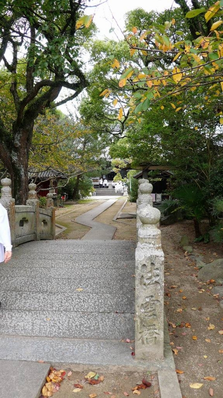 f:id:boianuf:20161127113651j:image:w400