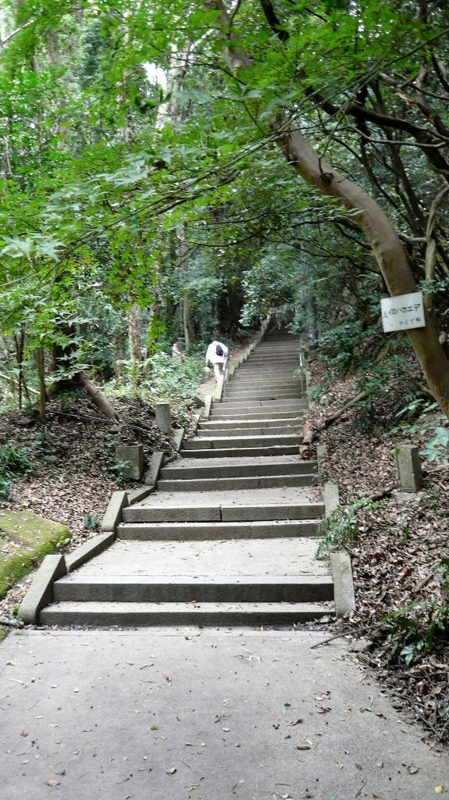 f:id:boianuf:20161127151735j:image:w400 f:id:boianuf:20161127151735j:image:w400