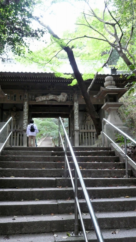 f:id:boianuf:20161127151744j:image:w400 f:id:boianuf:20161127151744j:image:w400