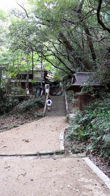 f:id:boianuf:20161127151746j:image:w400 f:id:boianuf:20161127151746j:image:w400