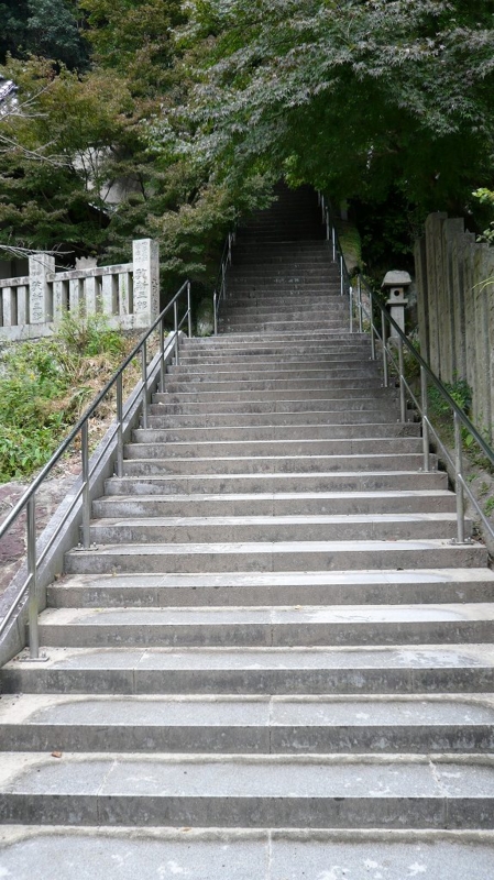 f:id:boianuf:20161127152058j:image:w400 f:id:boianuf:20161127152058j:image:w400