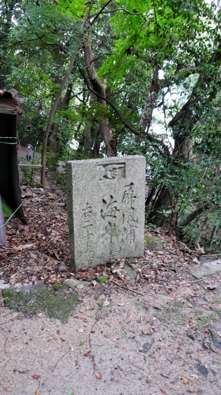 f:id:boianuf:20161127152751j:image:w400 f:id:boianuf:20161127152751j:image:w400