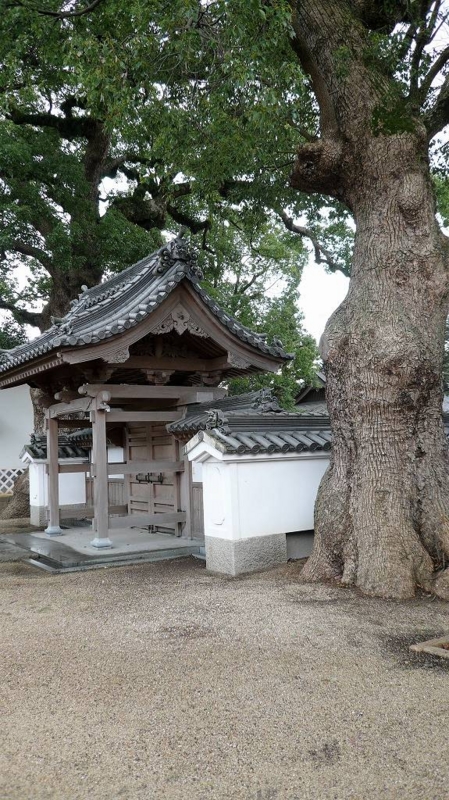 f:id:boianuf:20161127153438j:image:w400 f:id:boianuf:20161127153438j:image:w400