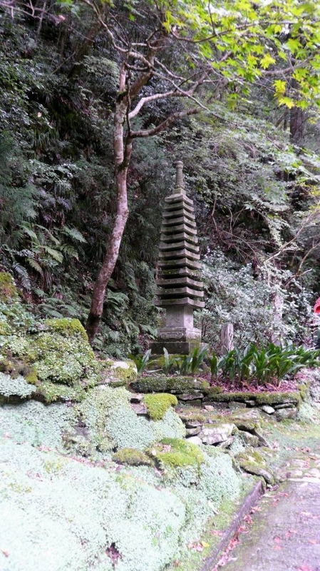 f:id:boianuf:20161201142536j:image:w400