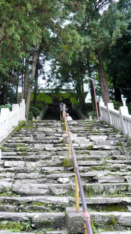 f:id:boianuf:20161201142750j:image:w400