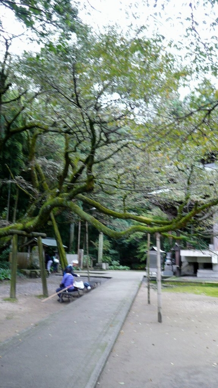 f:id:boianuf:20161201142959j:image:w400