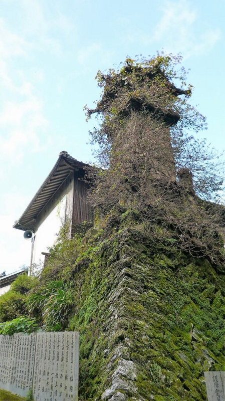 f:id:boianuf:20161210172606j:image:w400