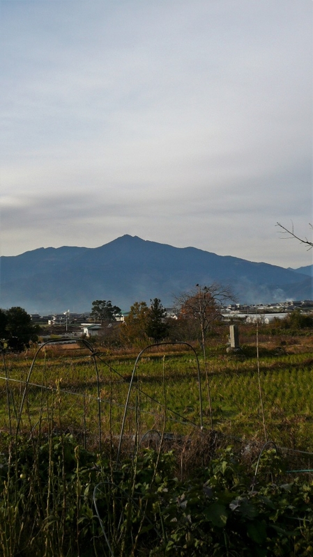 f:id:boianuf:20161214111855j:image:w400