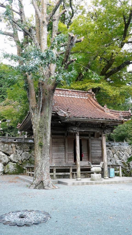 f:id:boianuf:20161214151239j:image:w400